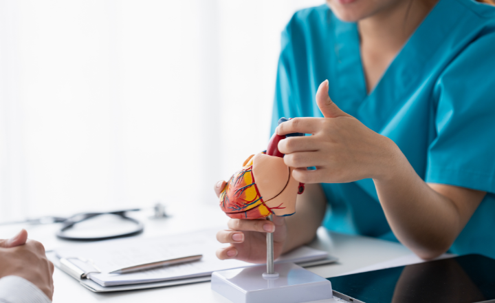 The image shows a medical professional explaining a heart model to a patient, likely for educational purposes.